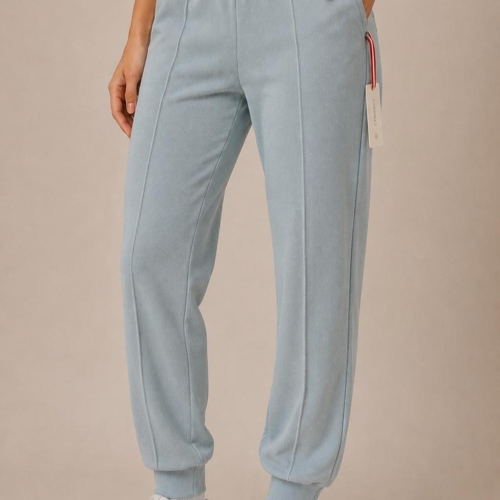 Brand new with tags sage green joggers by All In Motion